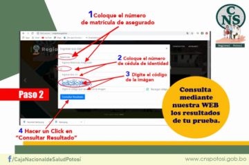 Los asegurados pueden acceder ingresando sus datos.