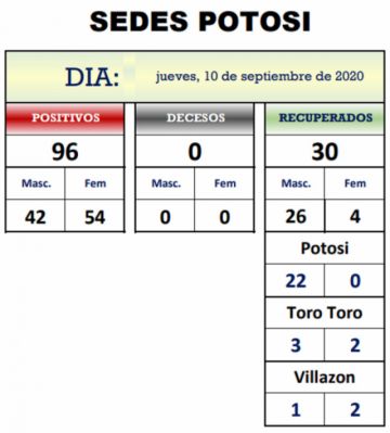 Reporte departamental del Sedes Potosí