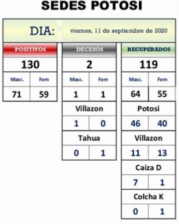 Reporte departamental del Sedes Potosí