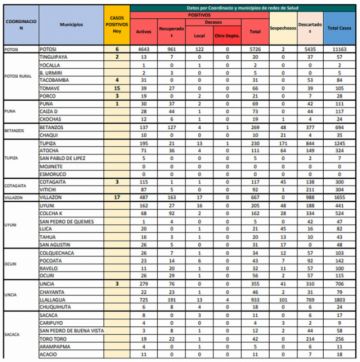 Reporte departamental del Sedes Potosí