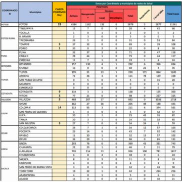Reporte departamental del Sedes Potosí
