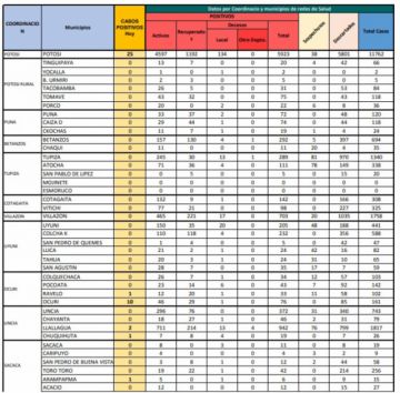 Reporte departamental del Sedes Potosí