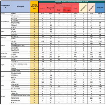 Reporte departamental del Sedes Potosí