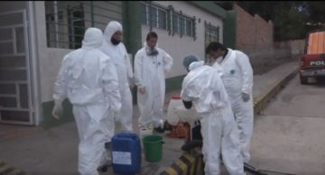 Alcaldía fumigará unidades educativas que sean recintos para las elecciones