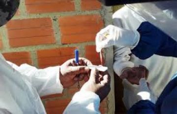 ¿Qué planifica la Gobernación para las siguientes fases de la pandemia?