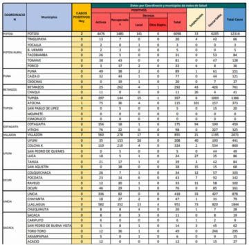 Reporte departamental del Sedes Potosí