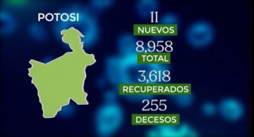Potosí en el reporte del Ministerio de Salud
