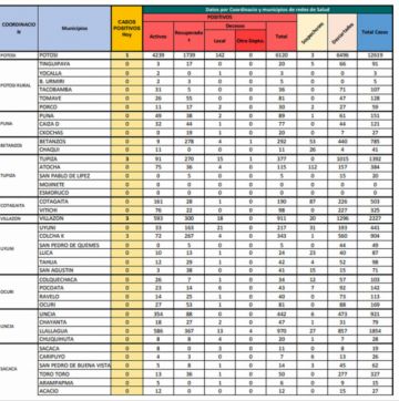 Reporte departamental del Sedes Potosí