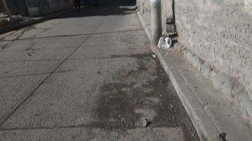 Realizaron la limpieza en la jornada de feriado. FOTO EMAP