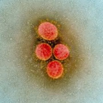 Según el Sedes, el coronavirus  de la segunda ola de Europa es más infeccioso