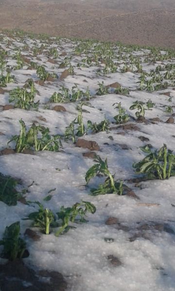 El granizo afectó varias comunidades en ambos municipios. FOTO JORGE PEÑARANDA