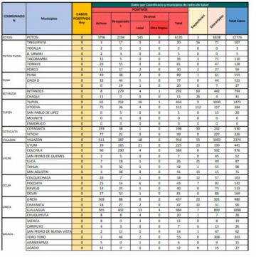 Reporte departamental del Sedes Potosí