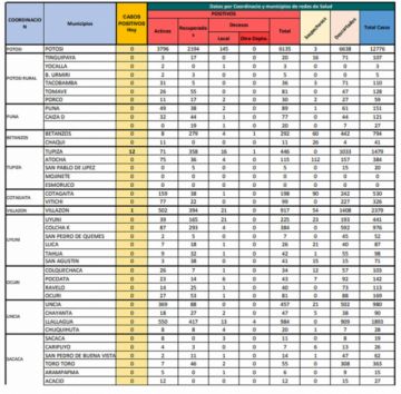 Reporte departamental del Sedes Potosí