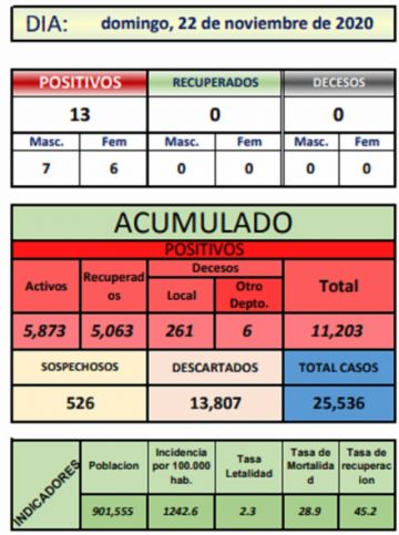 Reporte departamental del Sedes Potosí