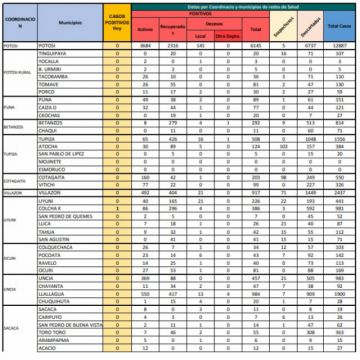 Reporte departamental del Sedes Potosí
