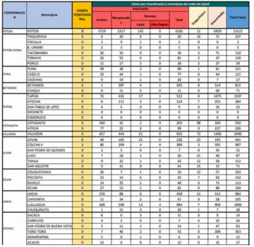 Reporte departamental del Sedes Potosí