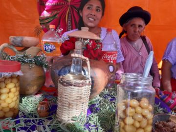 Se mostró la variedad en gastronomía y producción agrícola
