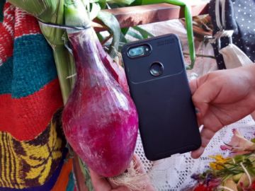 Se mostró la variedad en gastronomía y producción agrícola