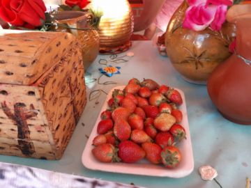 Se mostró la variedad en gastronomía y producción agrícola