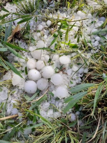 La granizada afectó viviendas, animales y cultivos en Tupiza