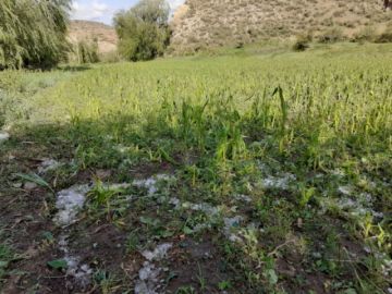 La granizada afectó viviendas, animales y cultivos en Tupiza