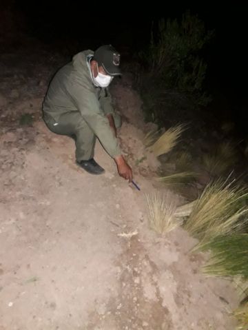 El accidente ocurrió de noche.