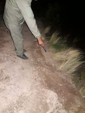 El accidente ocurrió de noche.
