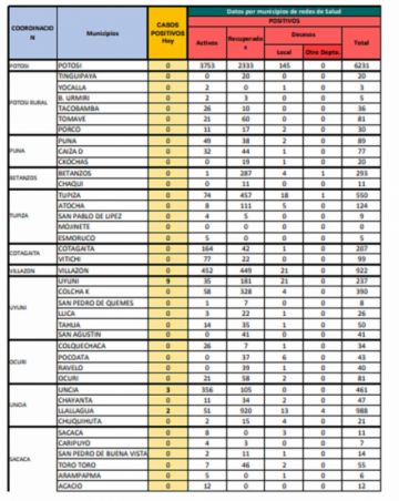 Reporte departamental del Sedes Potosí
