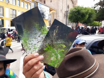 Los comunarios mostraron los efectos del clima