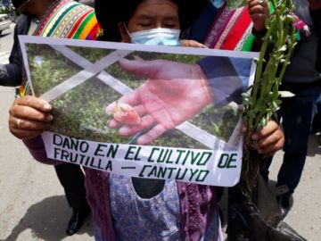 Los comunarios mostraron los efectos del clima