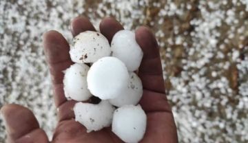 El tamaño del granizó causó daños.