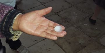 El tamaño del granizó causó daños.
