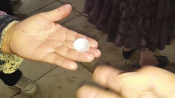 El tamaño del granizó causó daños.