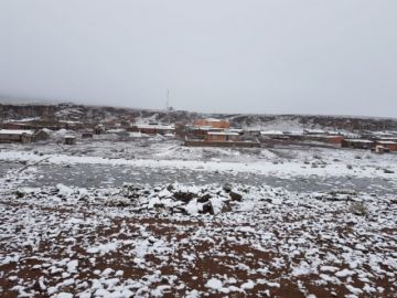Los comunarios, cerca de 60 familias, tienen animalitos afectados por la nevada.