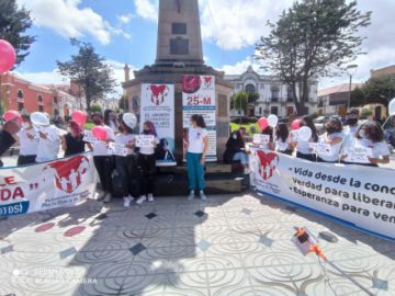 Movimiento en pro de la vida desde la concepción realiza actividades