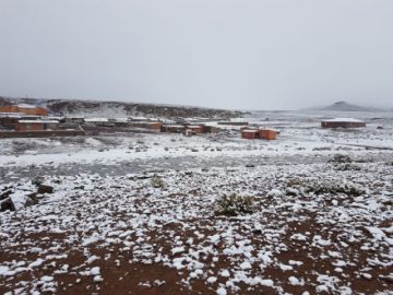 Los comunarios, cerca de 60 familias, tienen animalitos afectados por la nevada.
