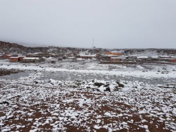 Los comunarios, cerca de 60 familias, tienen animalitos afectados por la nevada.