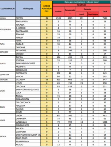 Reporte departamental del Sedes Potosí