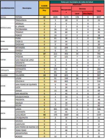 Reporte departamental del Sedes Potosí