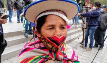 Exdiputada Patty pide destituir al Ministro de Educación, al que acusa de discriminarla