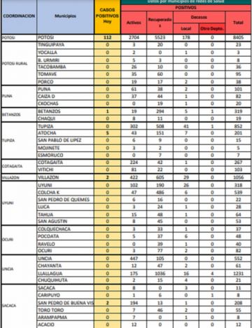 Reporte departamental del Sedes Potosí