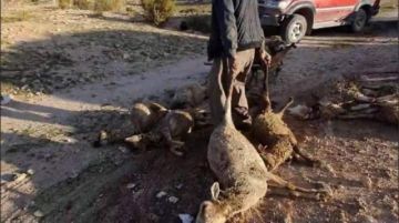 Sucedió a cinco kilómetros aproximadamente de la ciudad de Uyuni, Potosí.