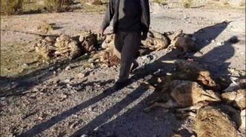 Sucedió a cinco kilómetros aproximadamente de la ciudad de Uyuni, Potosí.