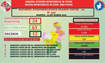 Reporte departamental del Sedes Potosí
