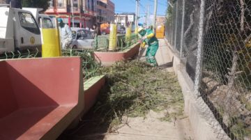 Realizaron la limpieza con apoyo de equipo pesado FOTO EMAP