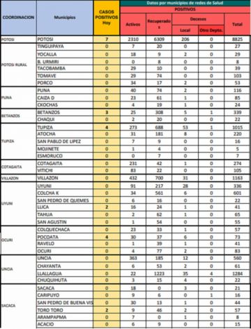 Reporte departamental del Sedes Potosí