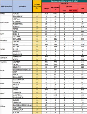 Reporte departamental del Sedes Potosí