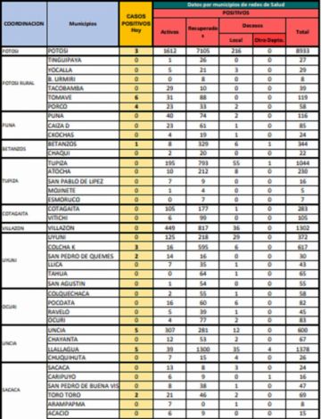 Reporte departamental del Sedes Potosí