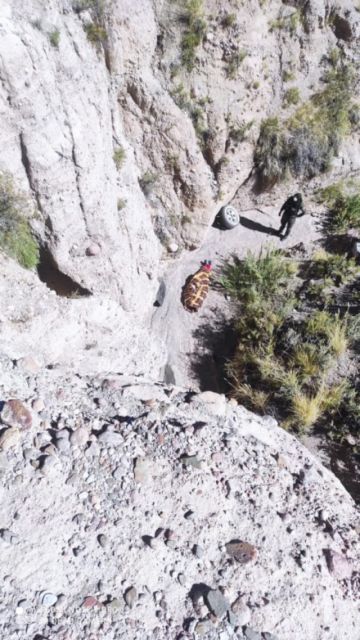 El hecho de tránsito ocurrió en el camino Villazón - Casita.