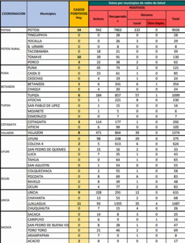 Reporte departamental del Sedes Potosí
